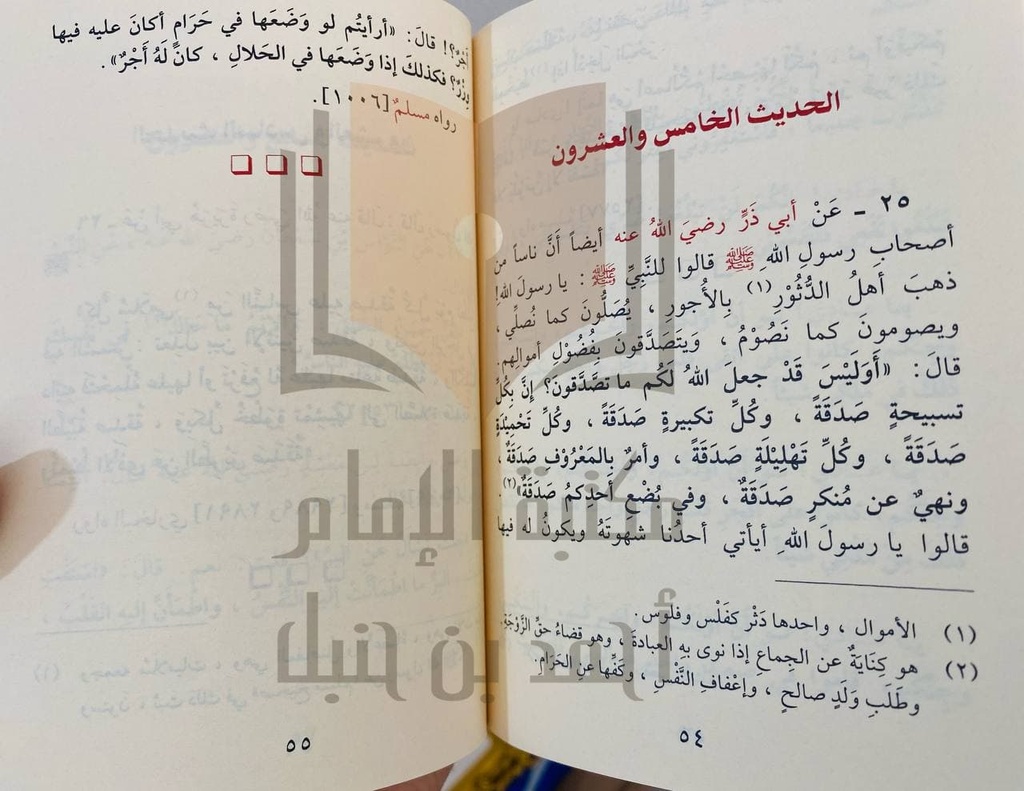 الأربعون النووية