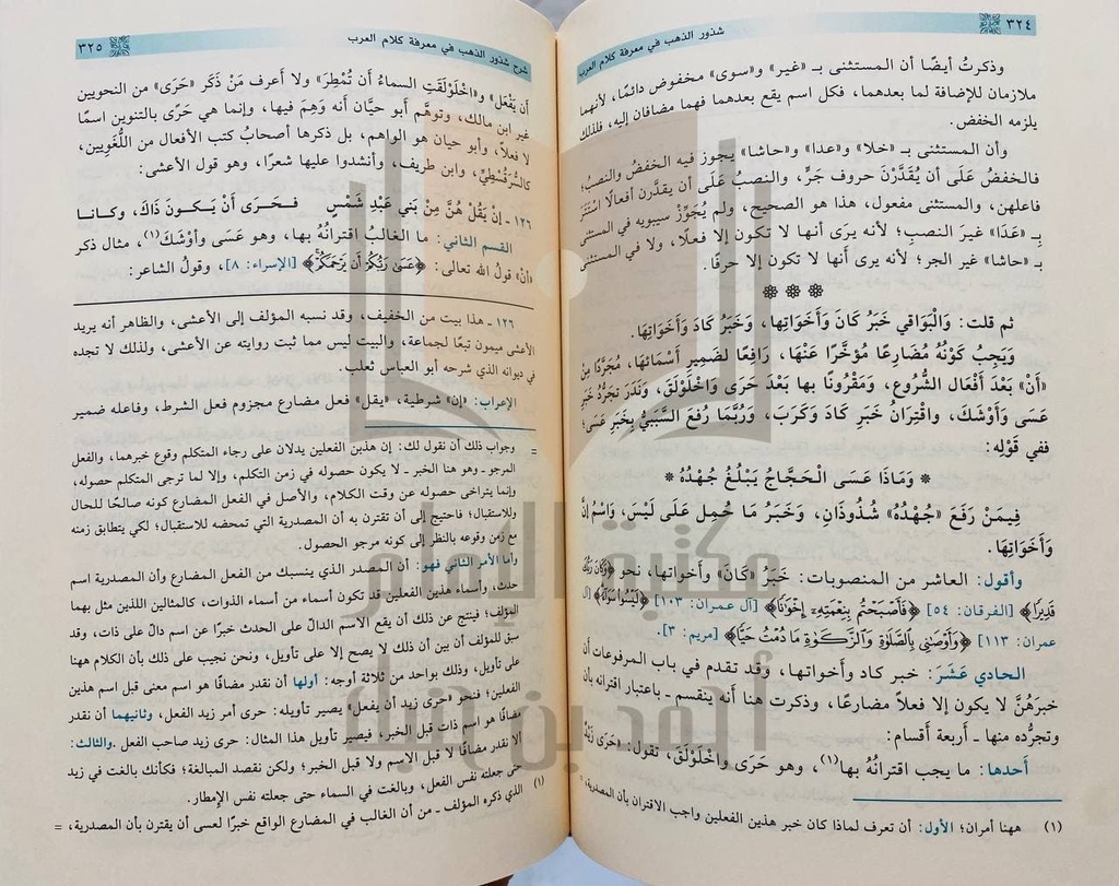 شرح شذور الذهب