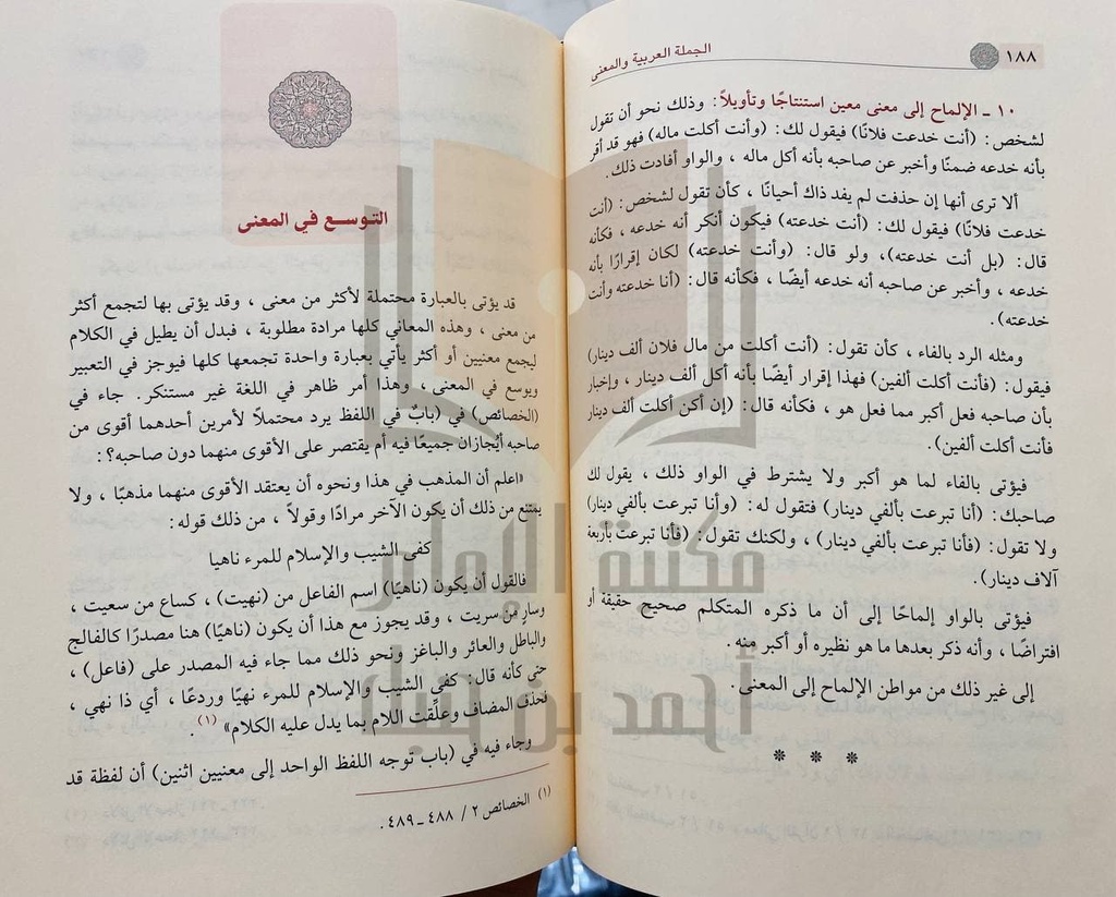 الجملة العربية والمعنى