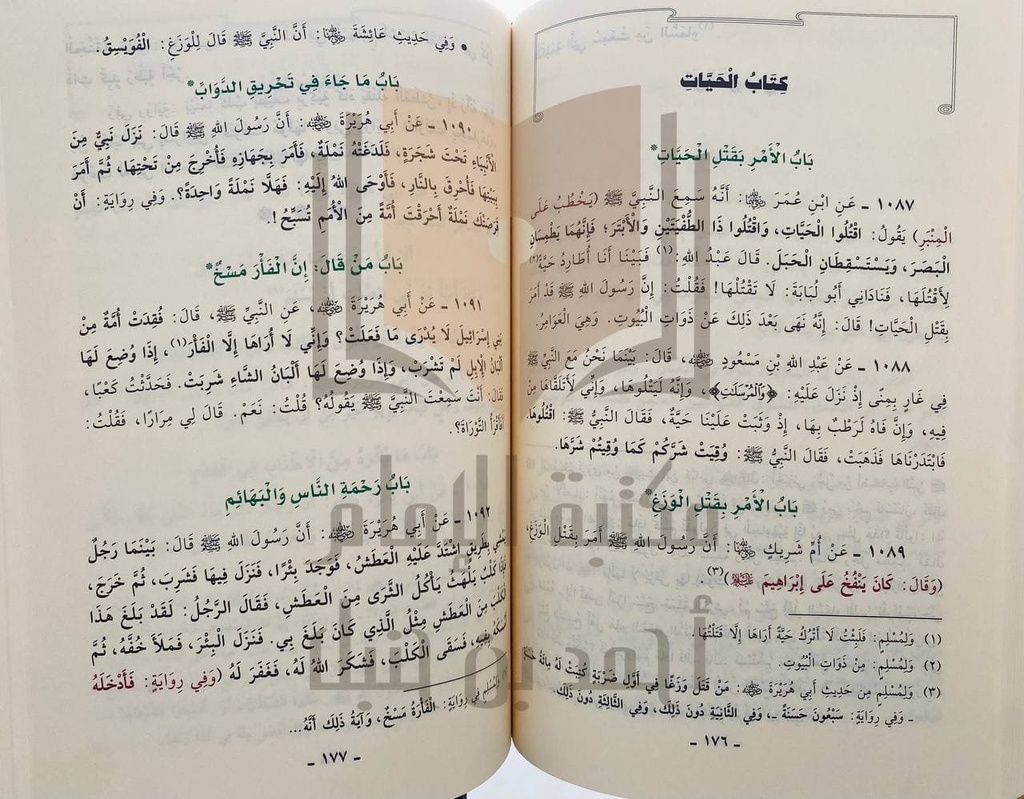 محصل دواوين السنة الثمانية عشر الجمع بين الصحيحين للحفاظ زيادات السنن والمسانيد والصحاح والمعاجم للحفاظ