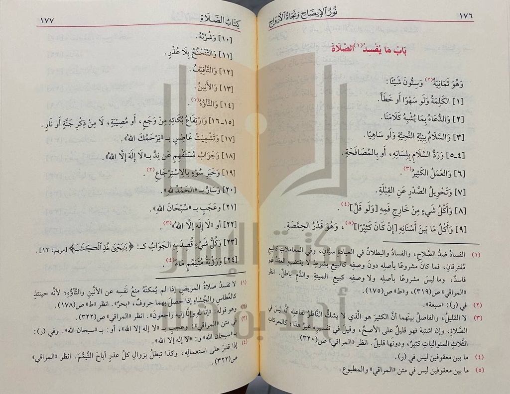 نور الإيضاح ونجاة الأرواح ويليه تذنيب نور الإيضاح